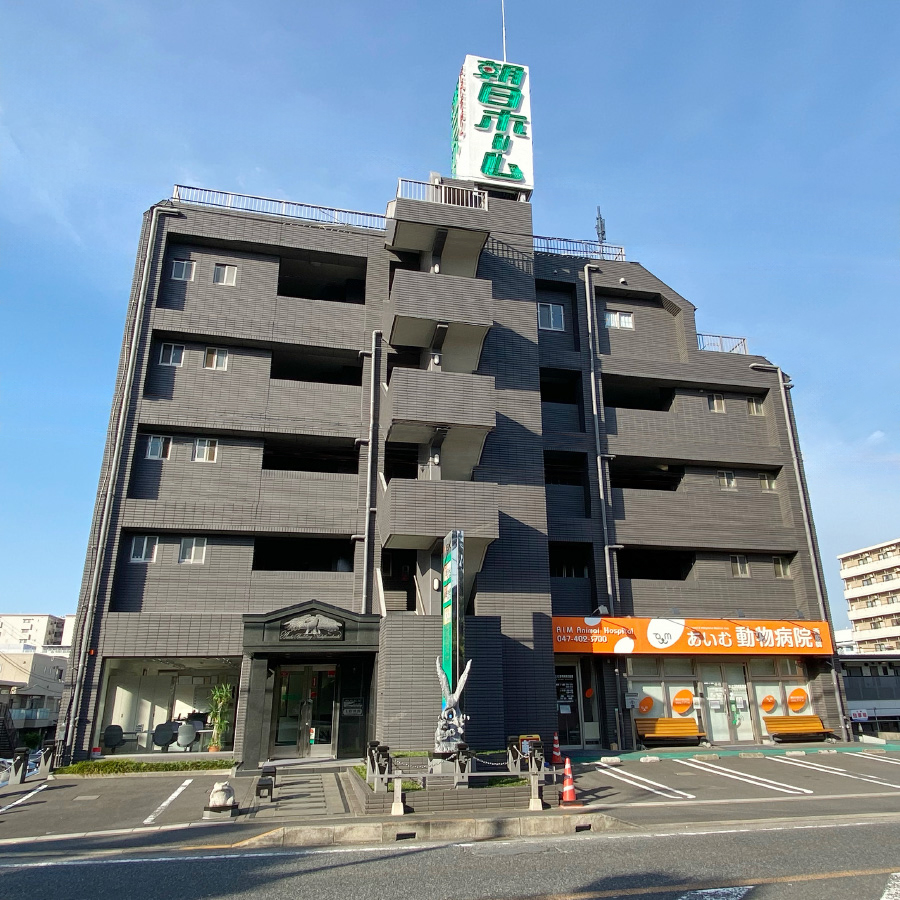 朝日ビルの写真